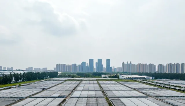 产品设计中的性能优化检查要点